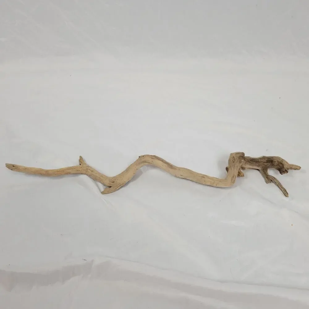Ohio River Driftwood 27